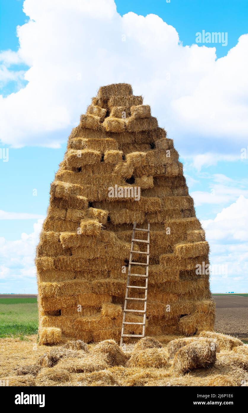 A haystack made of rectangular blocks of hay. Stock Photo