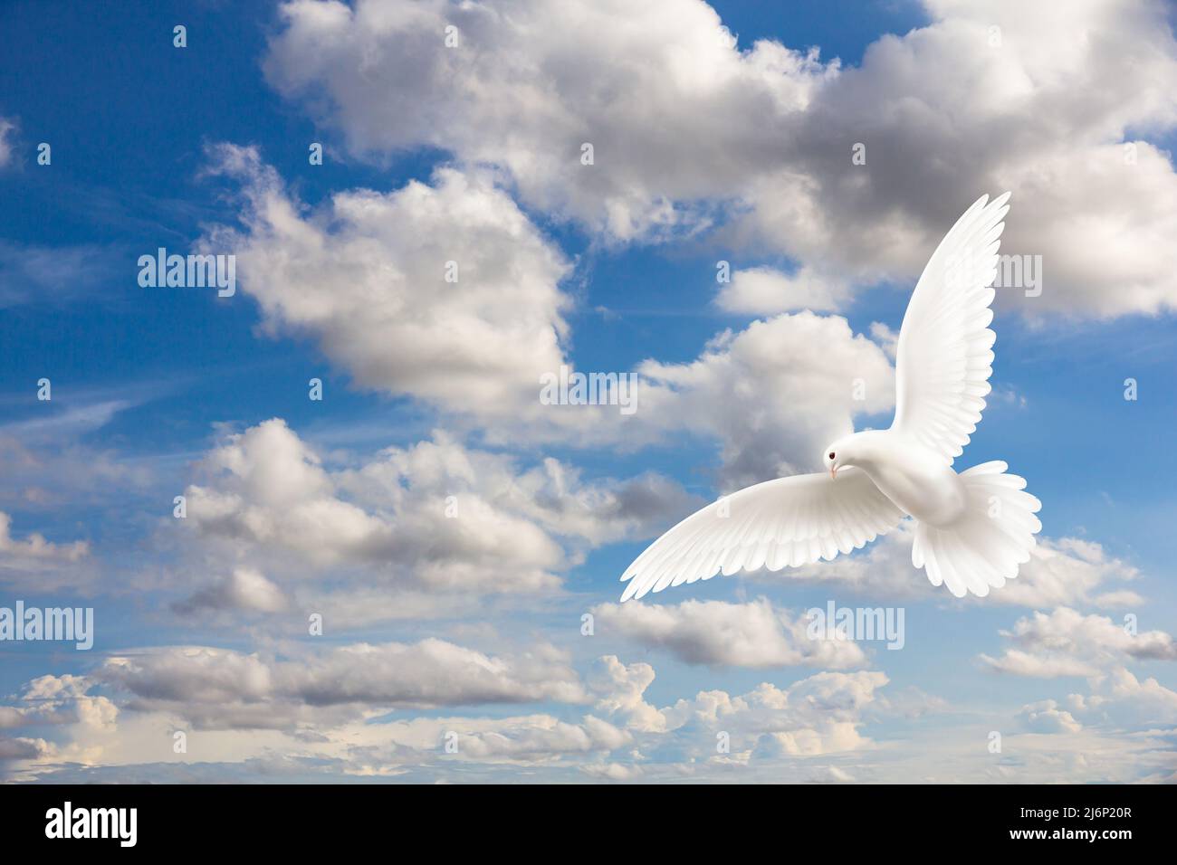 White dove flying in the sky. 3D rendering image Stock Photo Alamy