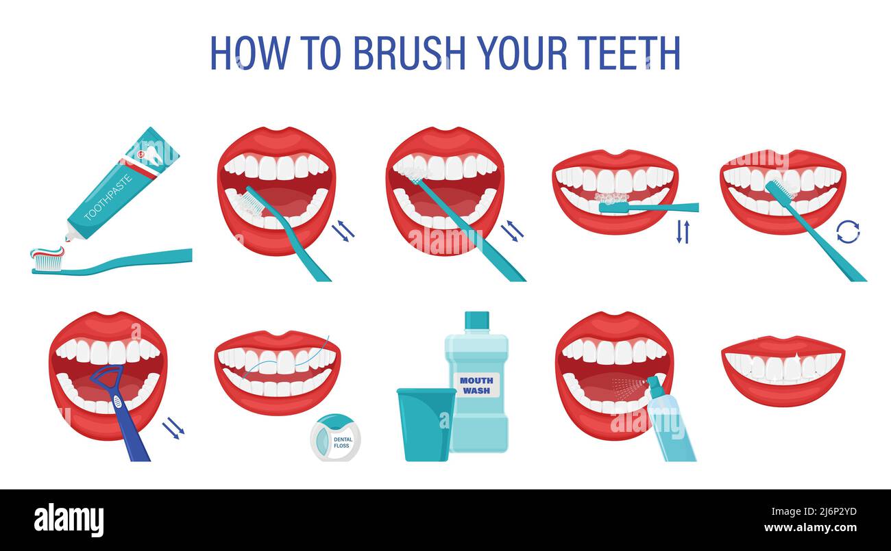 Infographic how to brush your teeth. Stepbystep instructions. Oral