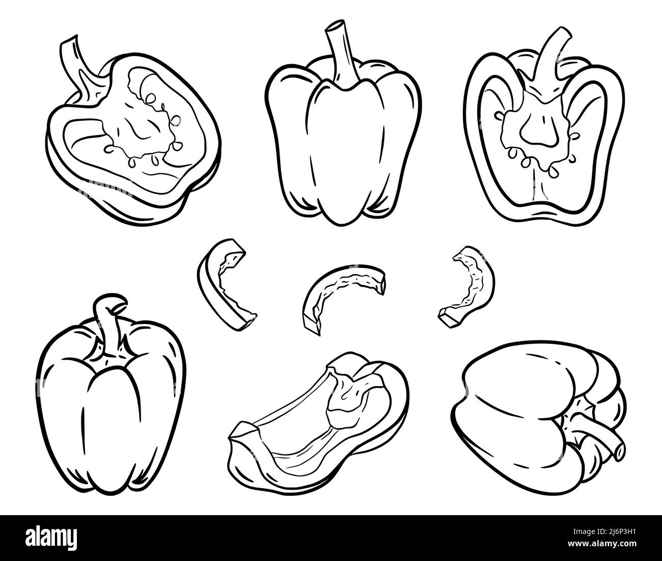 A set of sweet peppers in an outline style. A fresh vegetable is drawn by hand and isolated on a white background. Collection for food packaging desig Stock Vector