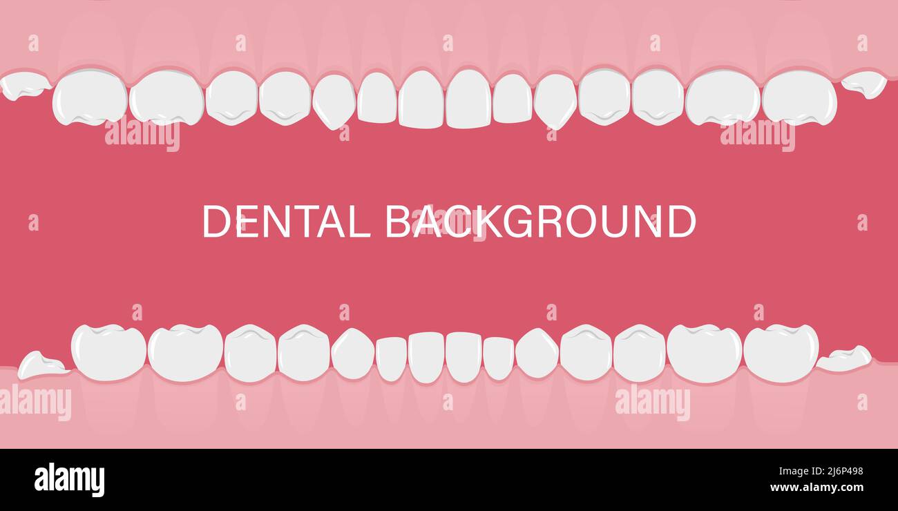 Background with teeth in a row. Human teeth in the gum. Background for dentists, orthodontists. Template with an empty space for text. A flat-style ba Stock Vector