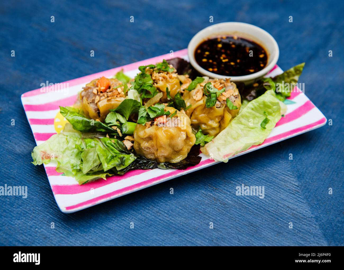 Pork dumpling appetizer Stock Photo