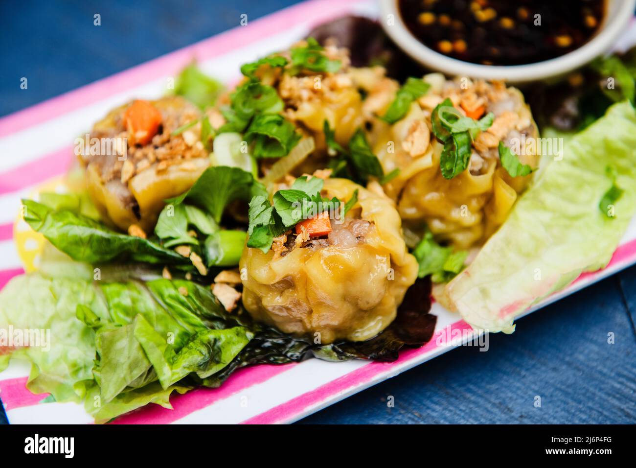 Pork dumpling appetizer Stock Photo