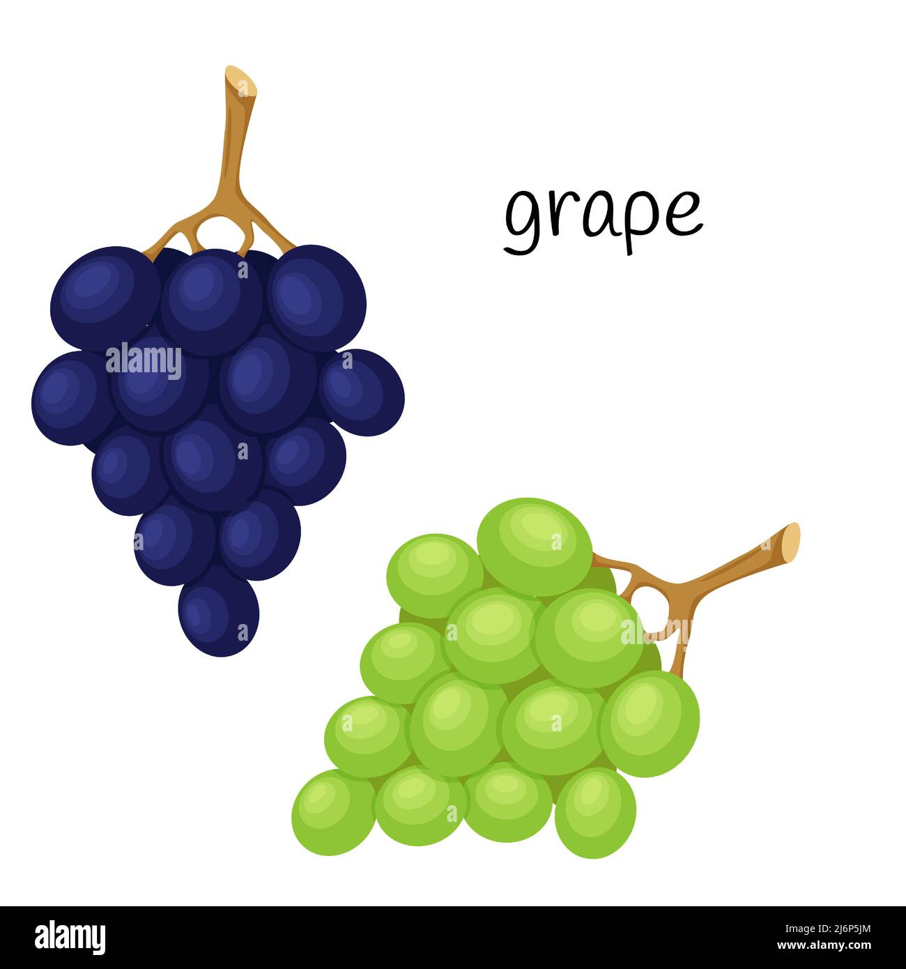 Purple berries on green Stock Vector Images - Alamy