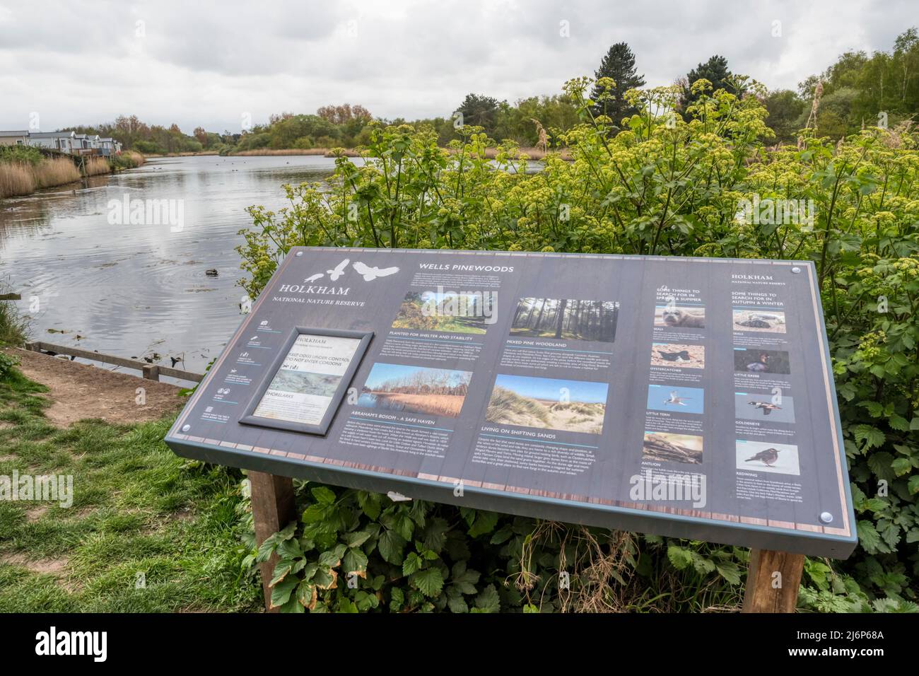 An interpretative sign in front of Abraham's Bosom Lake at Holkham National Nature reserve on the North Norfolk coast. Stock Photo