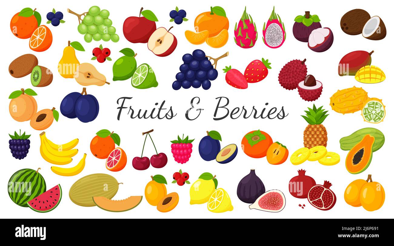 A large set of tropical, exotic, citrus fruits. Fruit and berry icons. Whole fruit, half cut and slices. Huge collection.Flat. Color vector illustrati Stock Vector