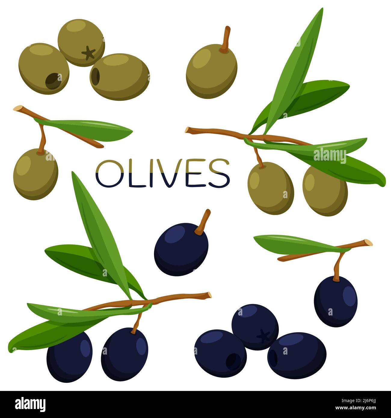 Set of olives. Olives on a twig with leaves and individual pitted. Collection with Black and green olives. Flat-style food. Isolated vector illustrati Stock Vector