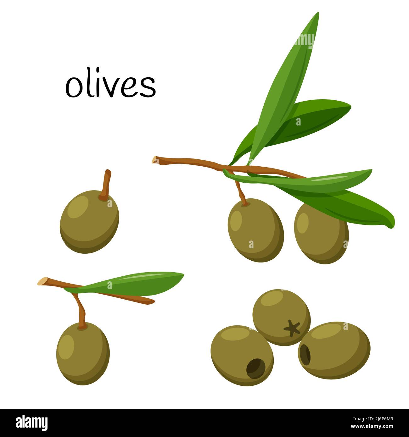 Pitted leaves Stock Vector Images Alamy