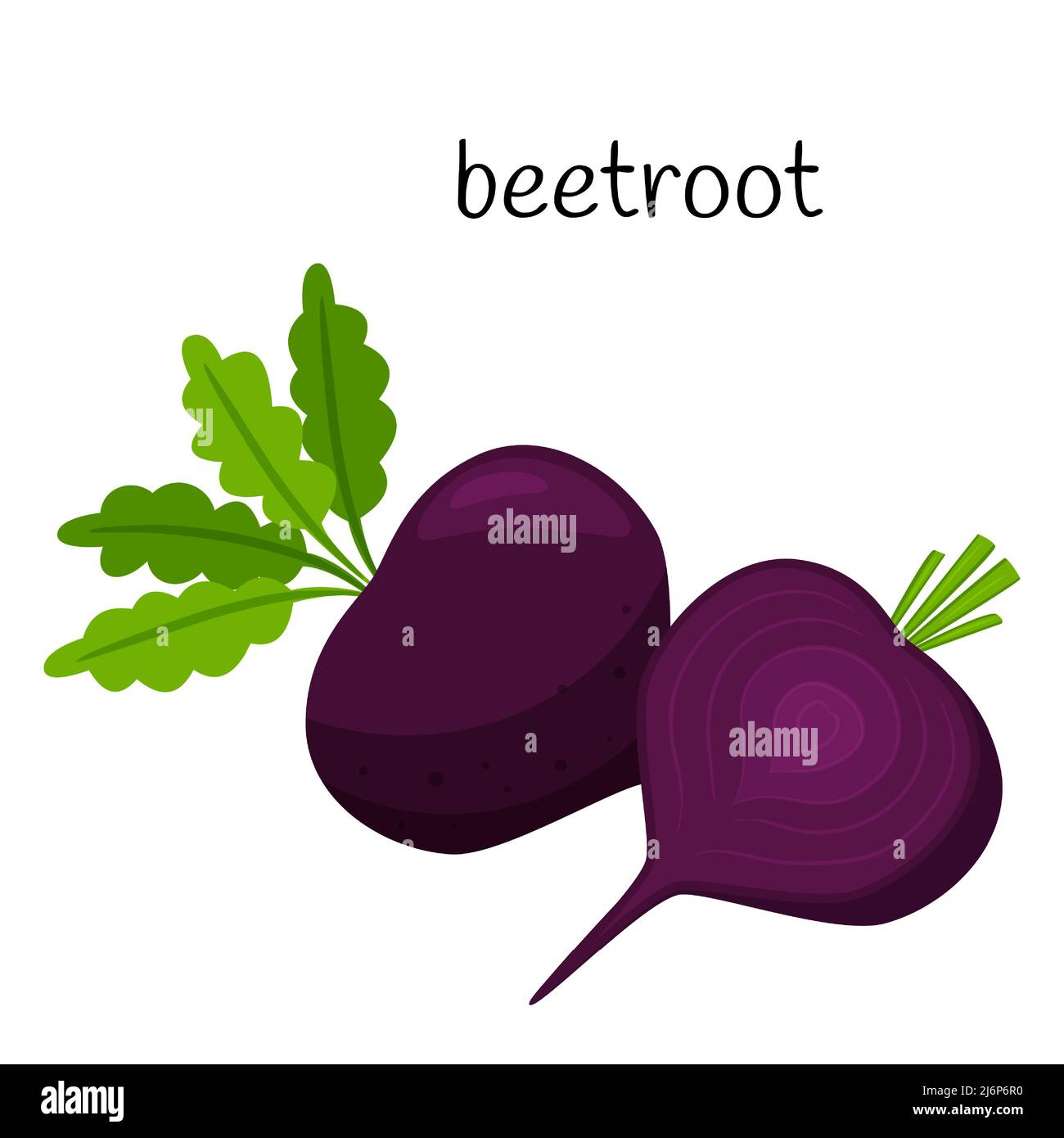 Beets whole and half in cross section. Vegetable, root vegetable