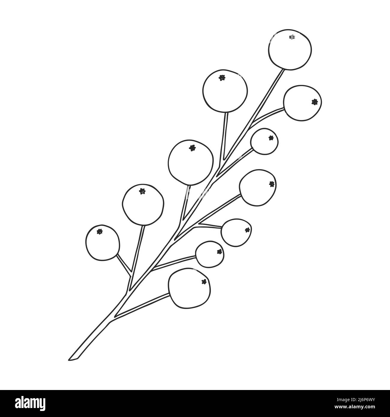 Branch of plant with berries. Botanical design element for the design of magazines,menus and recipes. Simple black and white vector illustration drawn Stock Vector