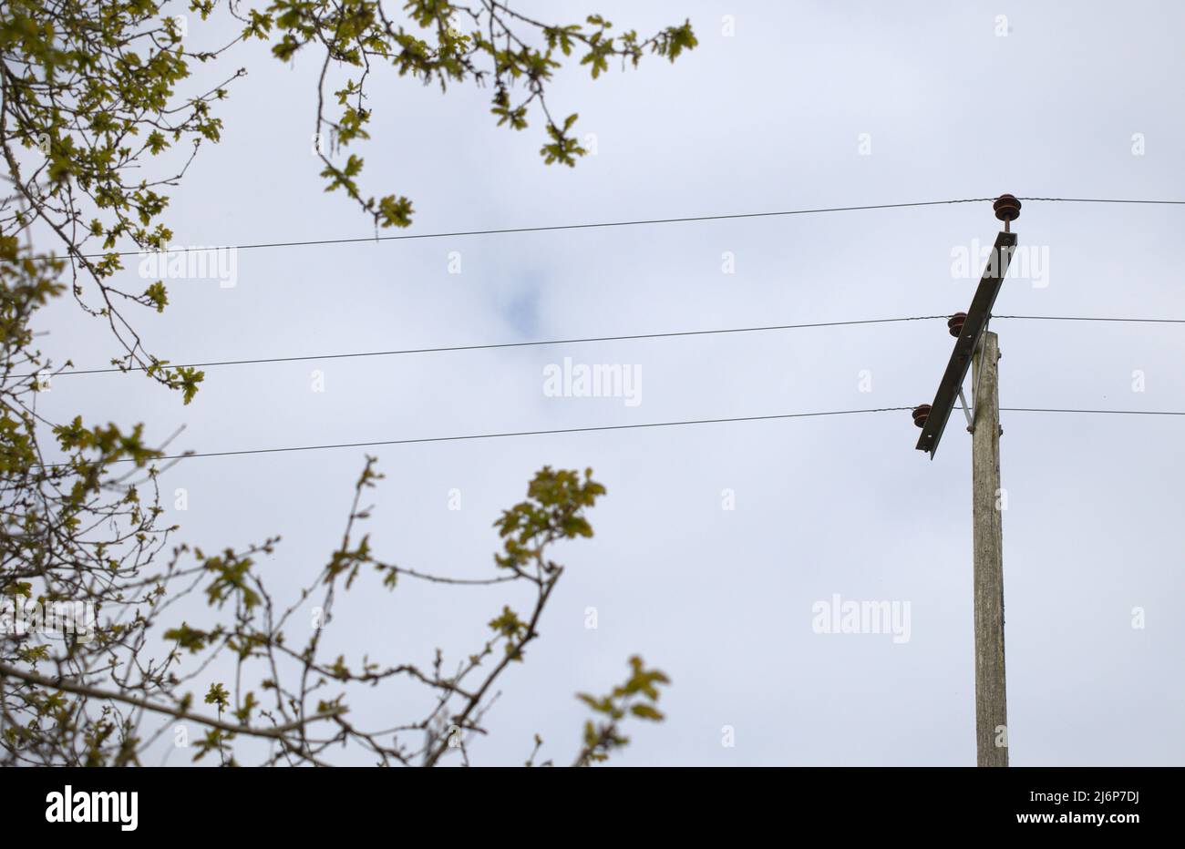 Electricity overhead power lines of high and medium voltage distribution network Stock Photo
