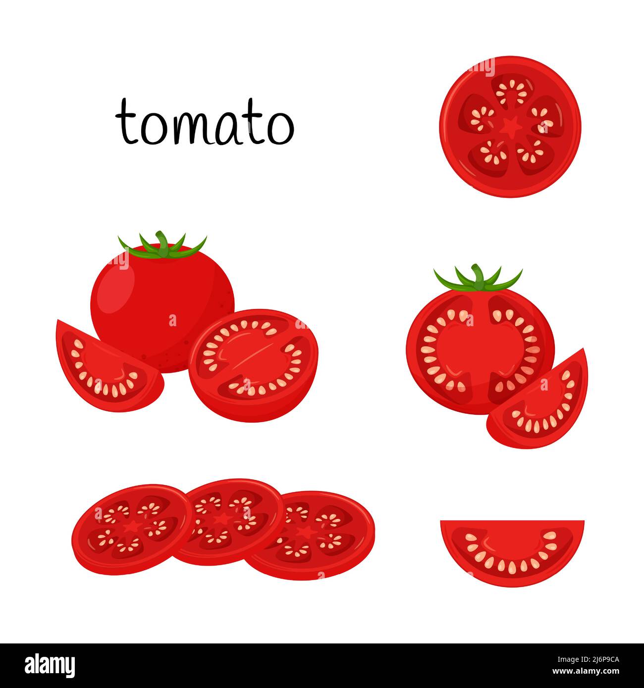 Half tomato isolated Stock Vector Images - Alamy