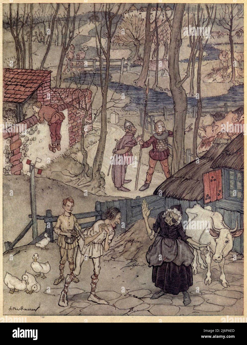 They offered a cow for each leg of her cow, but she would not accept that offer unless Fiachna went bail for the payment from the story MONGAN'S FRENZY from the book '  Irish fairy tales ' by James Stephens, illustrated by Arthur Rackham Publisher The Macmillan company London 1920 Stock Photo