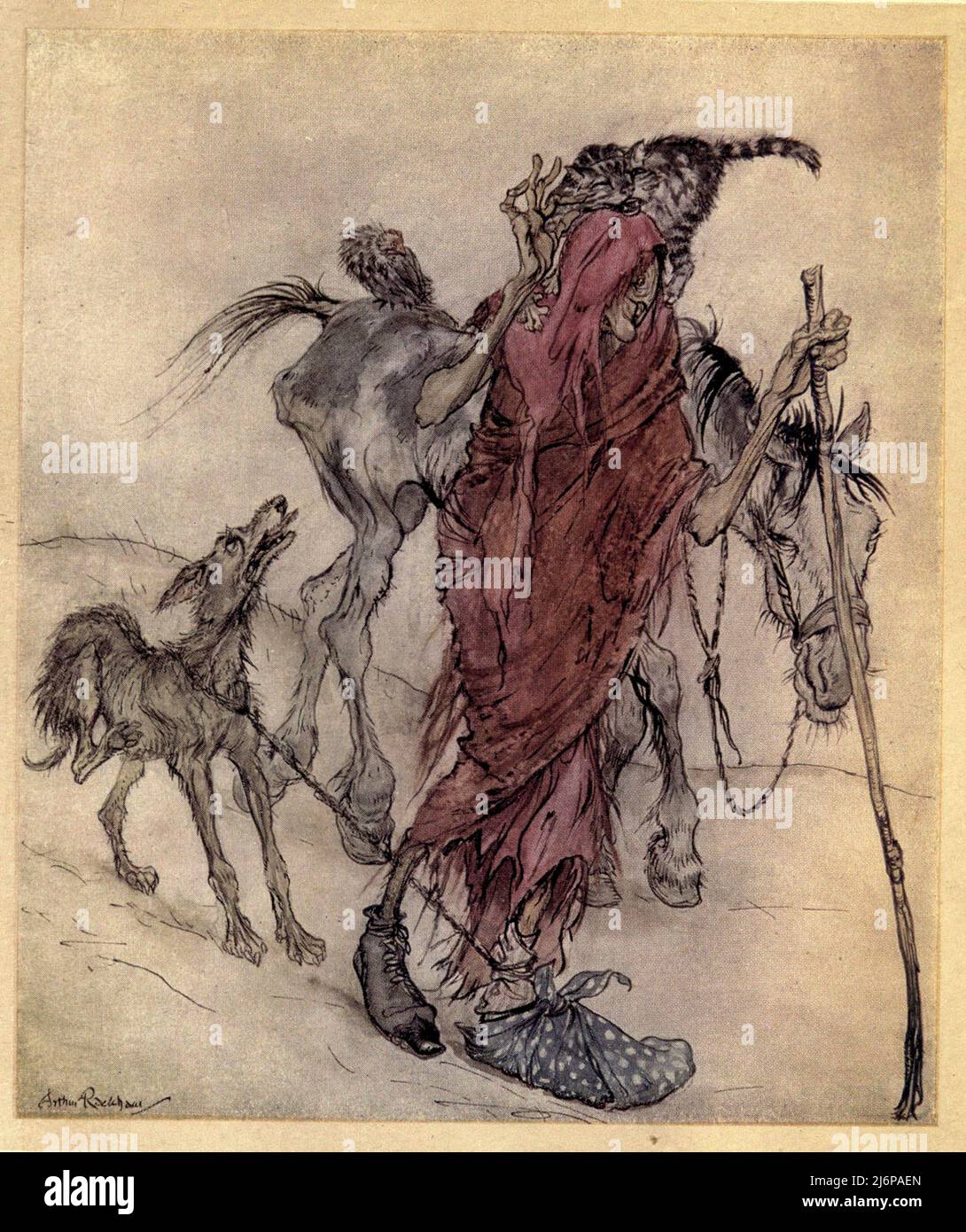 The Hag of the Mill was a bony, thin pole of a hag with odd feet from the story MONGAN'S FRENZY from the book '  Irish fairy tales ' by James Stephens, illustrated by Arthur Rackham Publisher The Macmillan company London 1920 Stock Photo