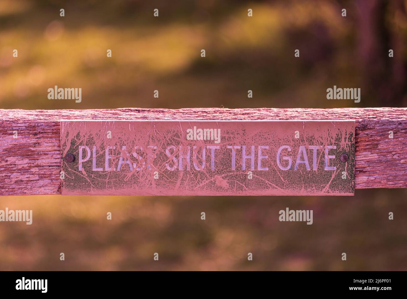 Please Shut The Gate sign on a gate to a farm field. Stock Photo