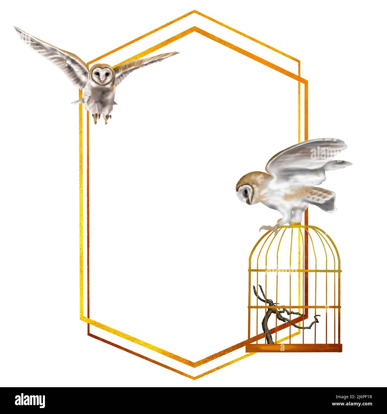 watercolour gold frame with owl barn owl. Realistic illustration with owls Stock Photo