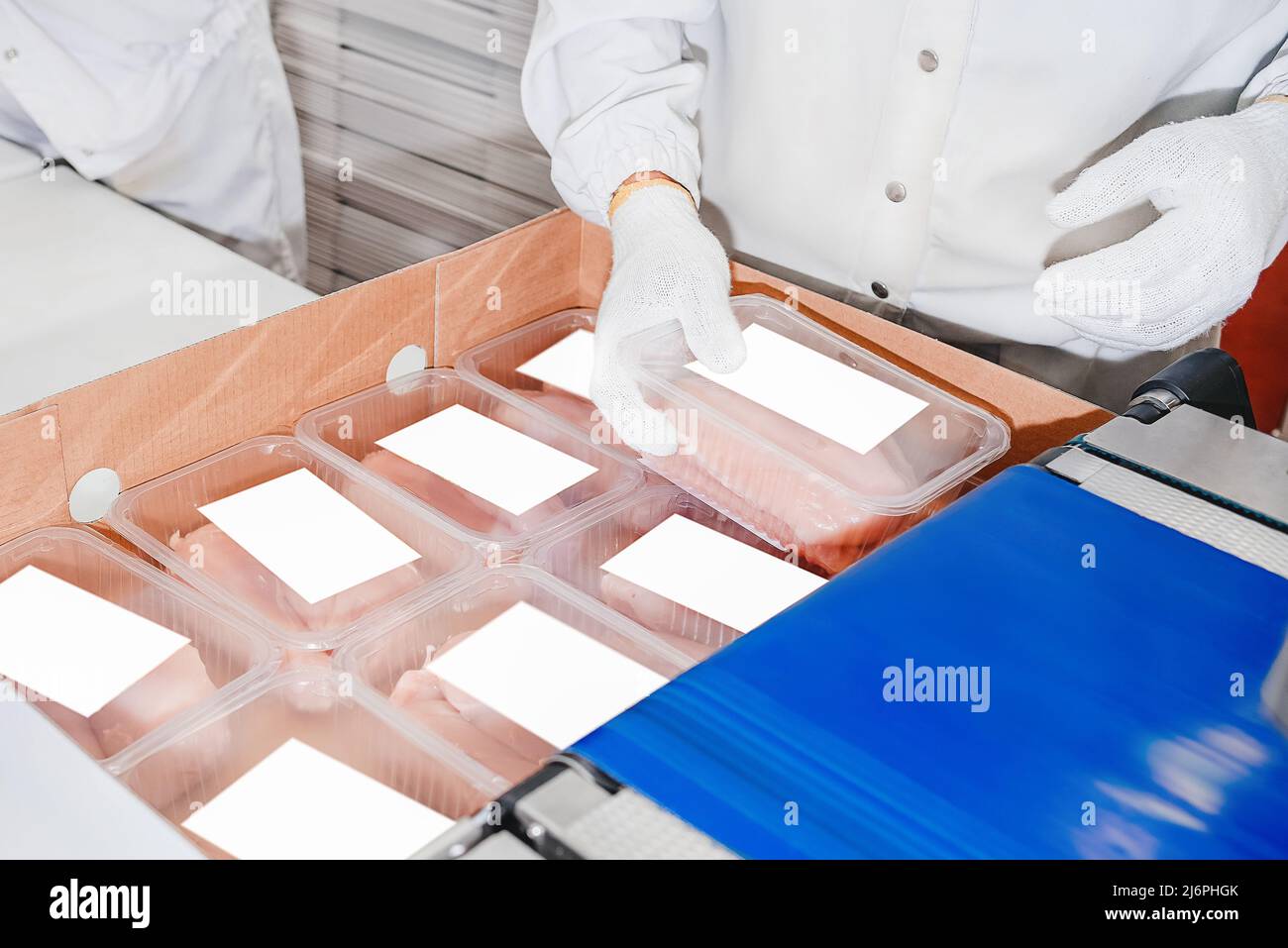 Production process, packaging on the conveyor line of meat in boxes ...