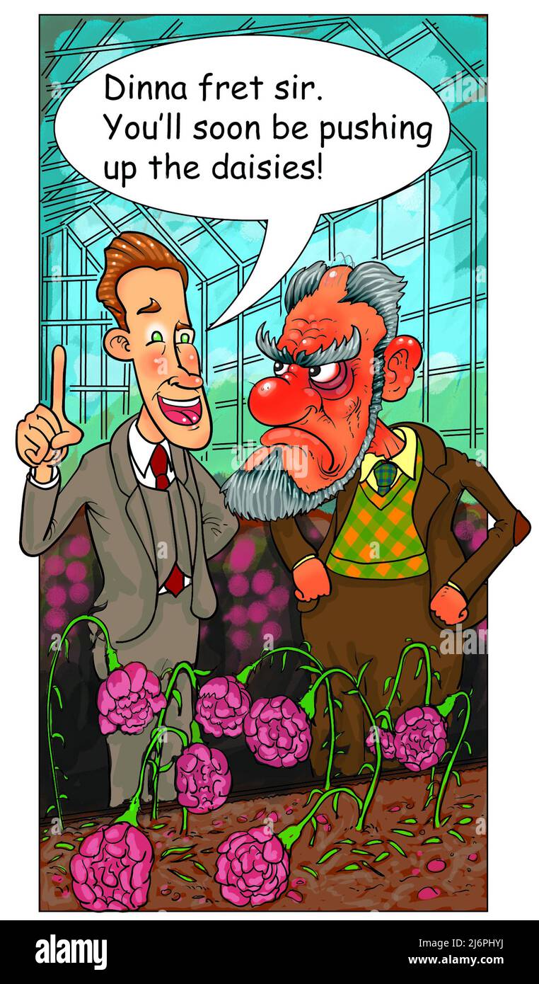 Art cartoon showing an humorous take on the popular British English saying pushing up the daisies /pushing up daisies meaning to be dead and buried Stock Photo