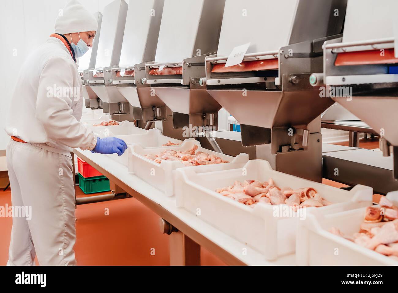 Factory Cook Conveyor Belt Food.The meat factory.Automated production line in modern ...