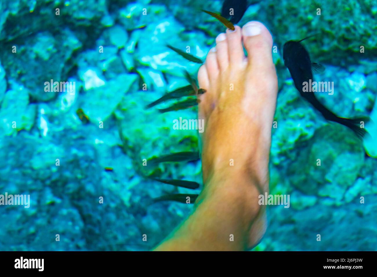 Fish spa pedicure fish bite feet in the amazing blue turquoise water and limestone cave sinkhole