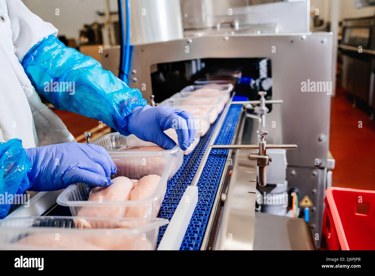 Chicken fillet production line.A modern plant.Factory production food