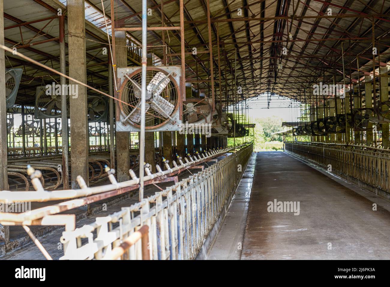 Vacant factory building of a professional dairy farming base Stock
