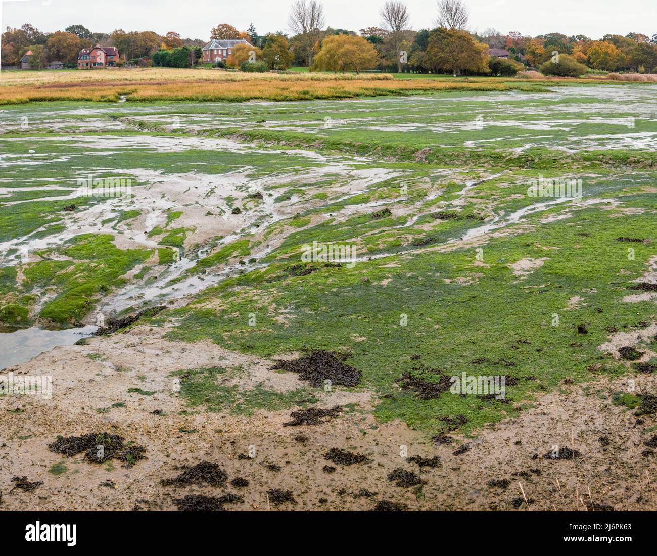 The marshes on the Hamble river in Hampshire England Stock Photo