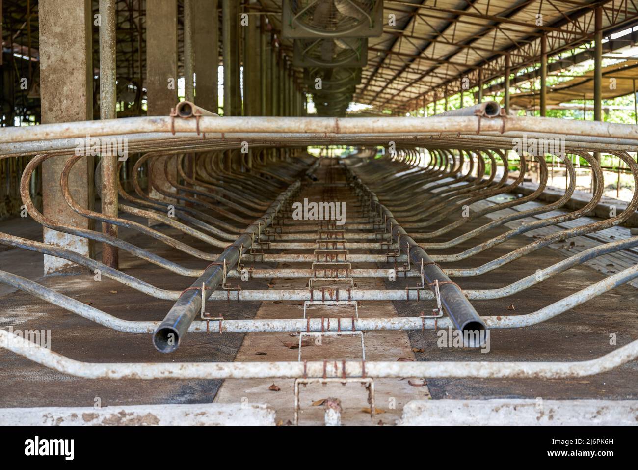 Vacant factory building of a professional dairy farming base Stock