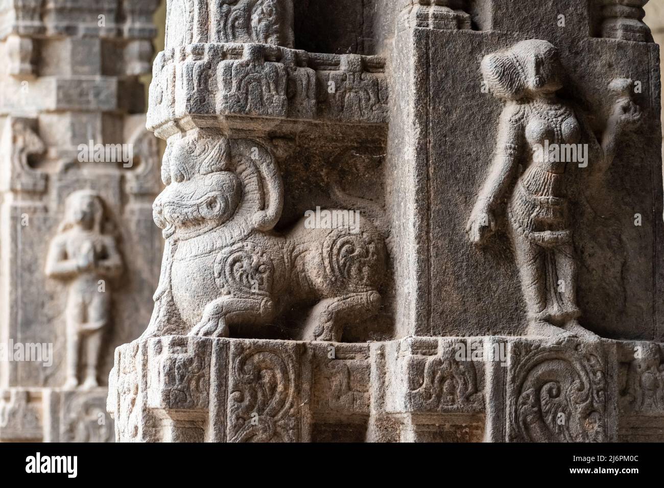 A beautiful stone carving of a figurine on the stone columns of the ancient Hindu temple of Jalakandeswarar in the Vellore Fort in Tamil Nadu. Stock Photo