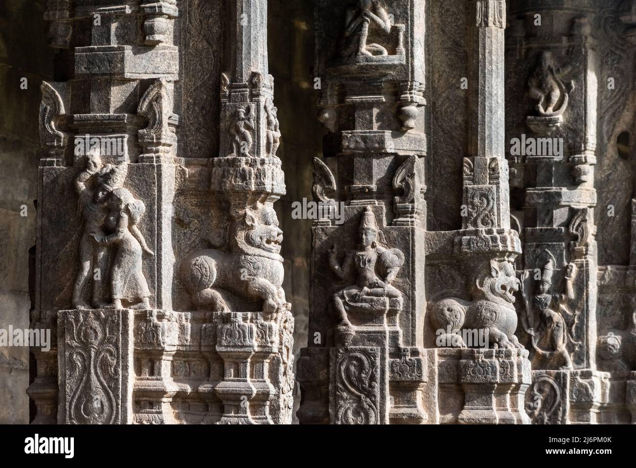 Beautiful stone carvings on the pillars and walls of the ancient Hindu temple of Jalakandeswarar in the Vellore Fort. Stock Photo