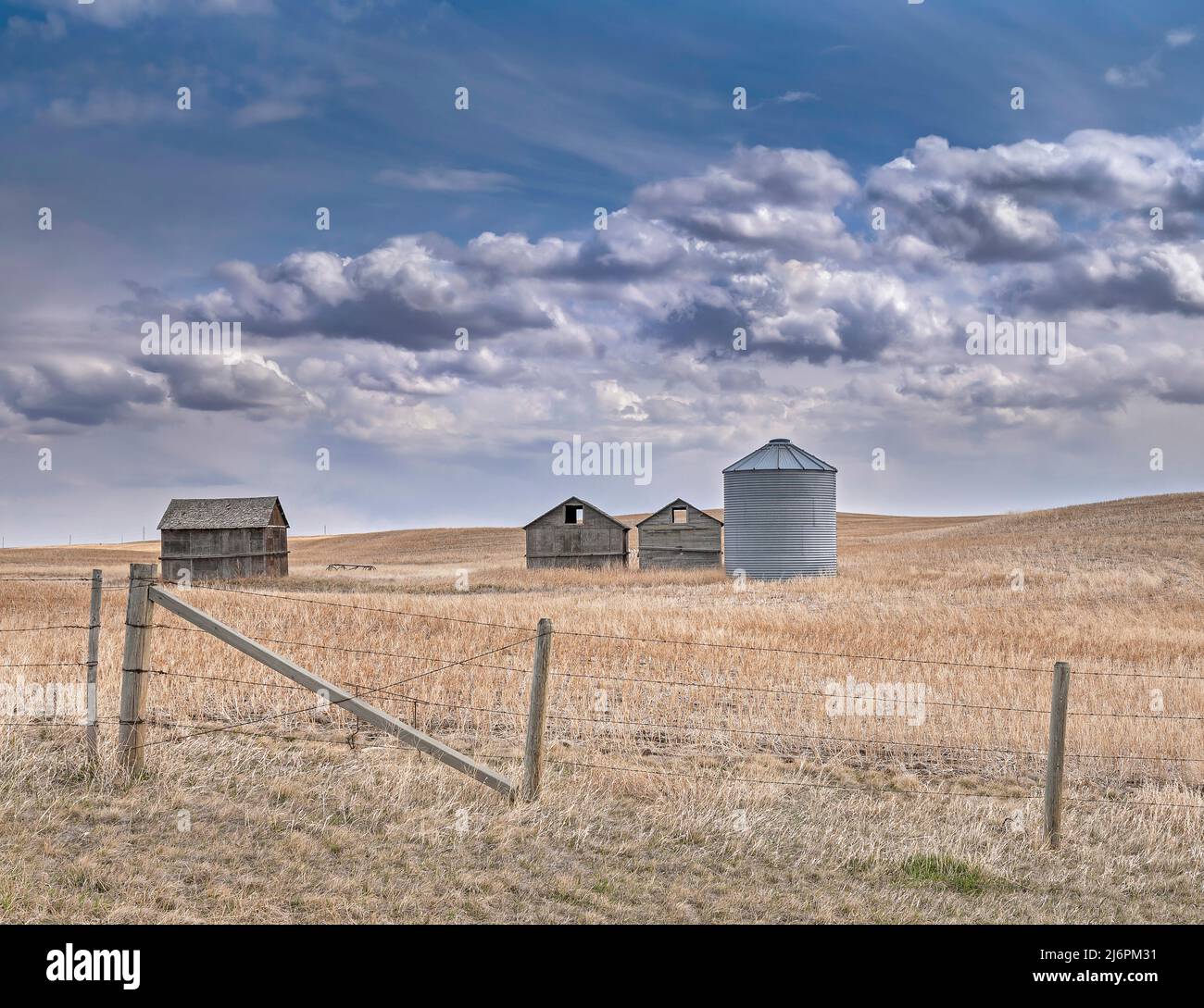 Wooden and steel grain bins in an agricultural field near Mossleigh