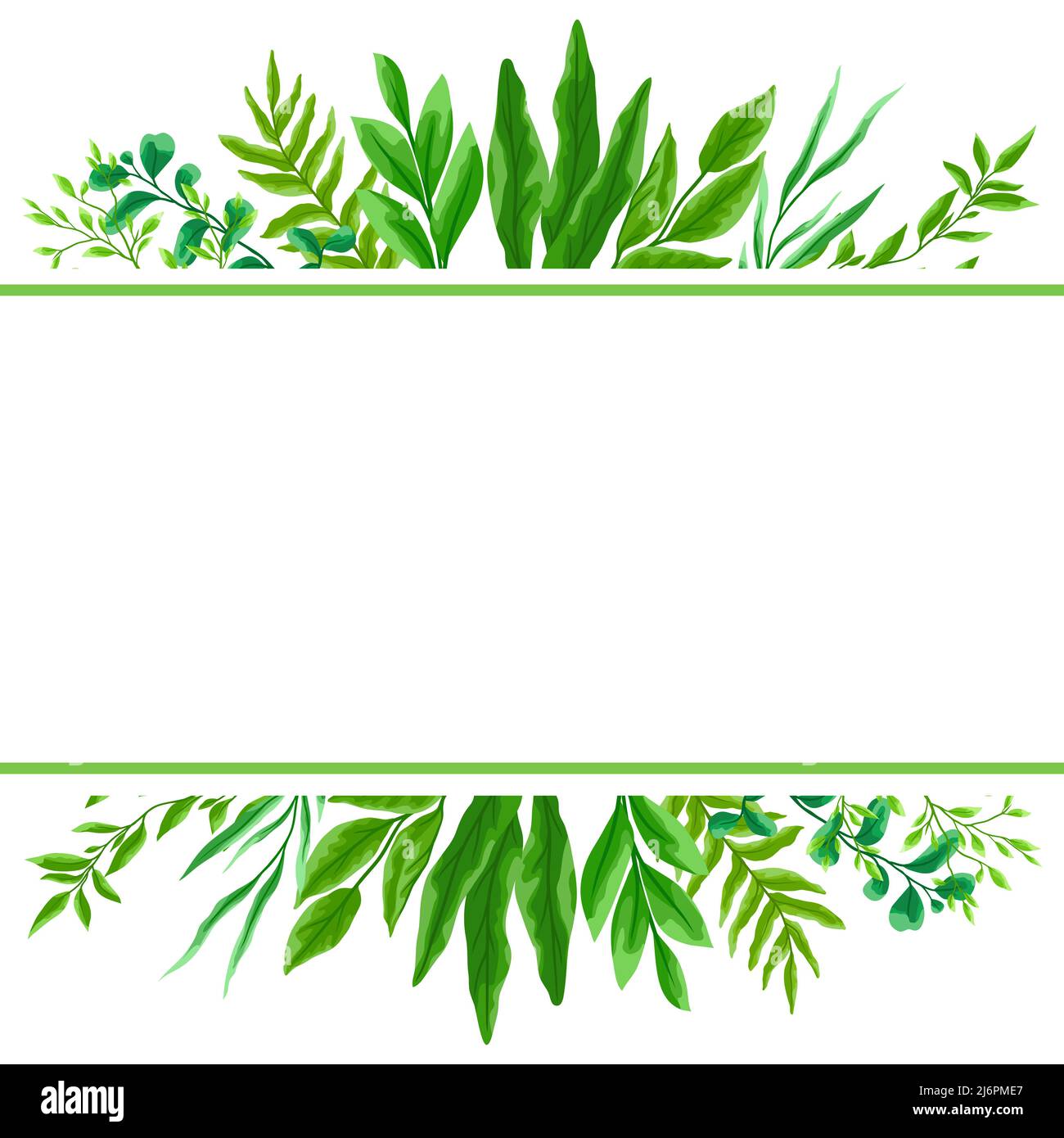 Card or background with branches and green leaves. Spring or summer