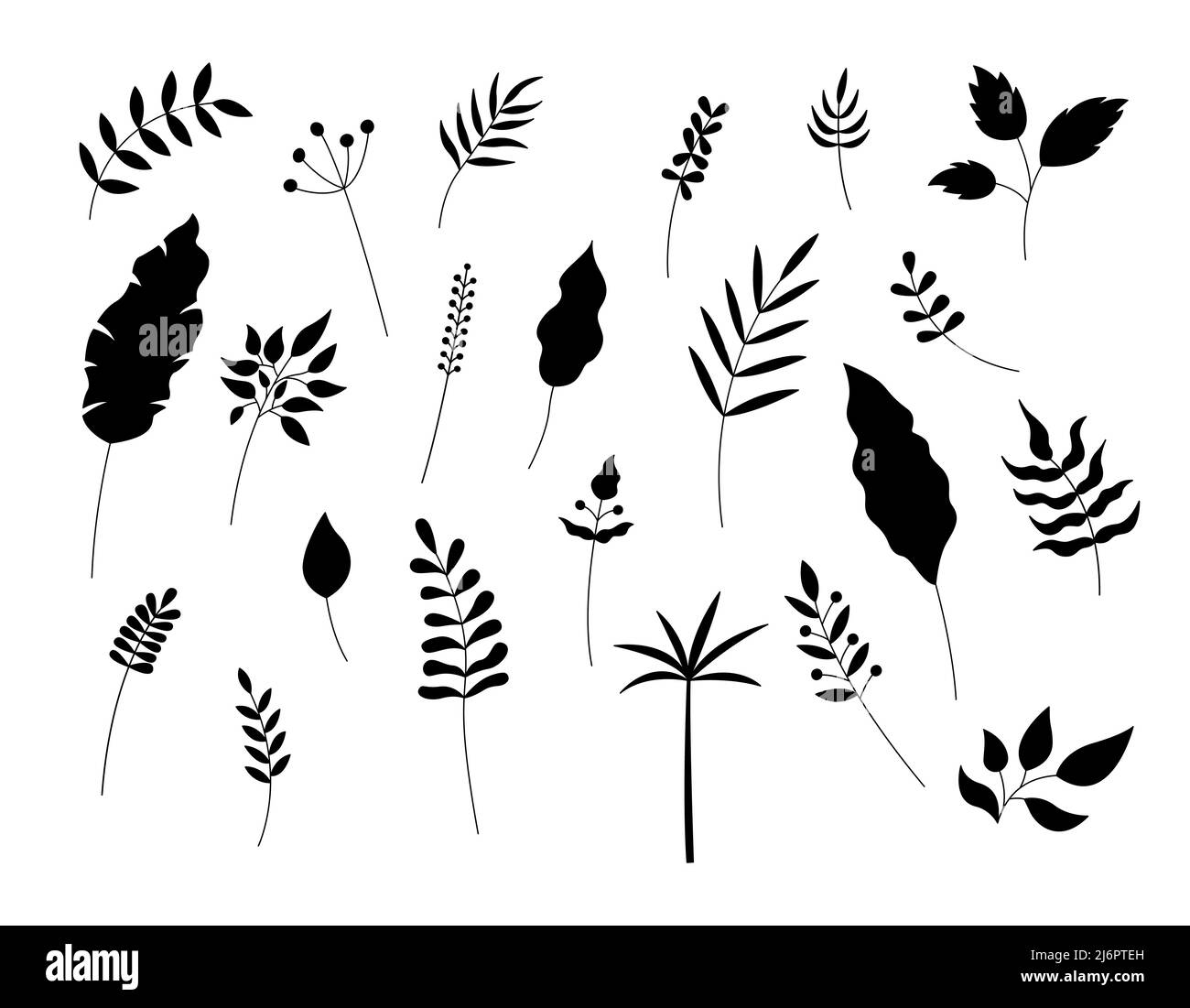 Leaves silhouettes isolated. Vector set of plant decorative elements on