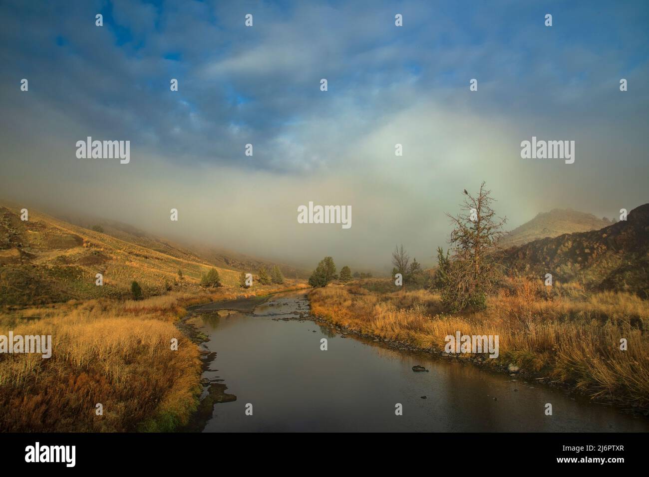USA, Oregon, Malheur County, Malheur river Stock Photo Alamy