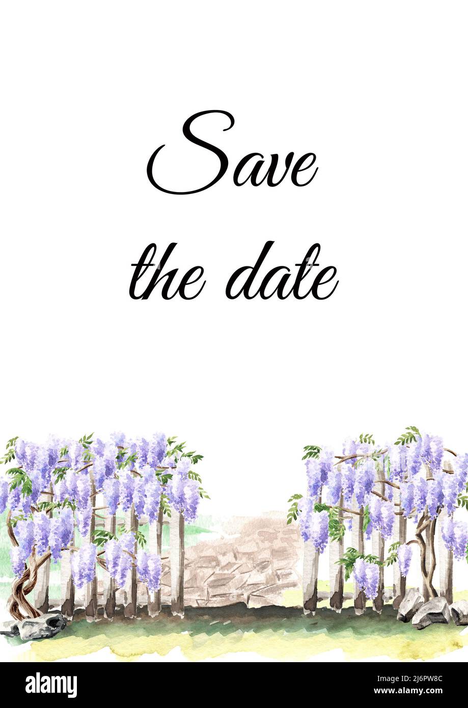 Fence with a climbing Wisteria blossom plant, save the date card. Hand  drawn watercolor  illustration isolated on white background Stock Photo