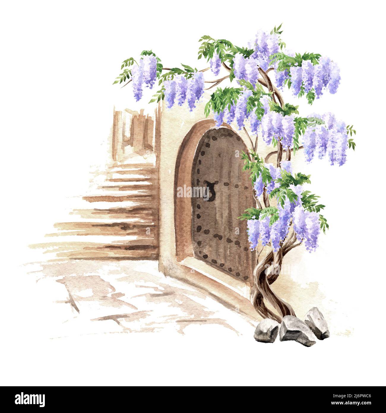Old  architecture  and Wisteria  blossom  tree. Hand  drawn watercolor  illustration isolated on white background Stock Photo