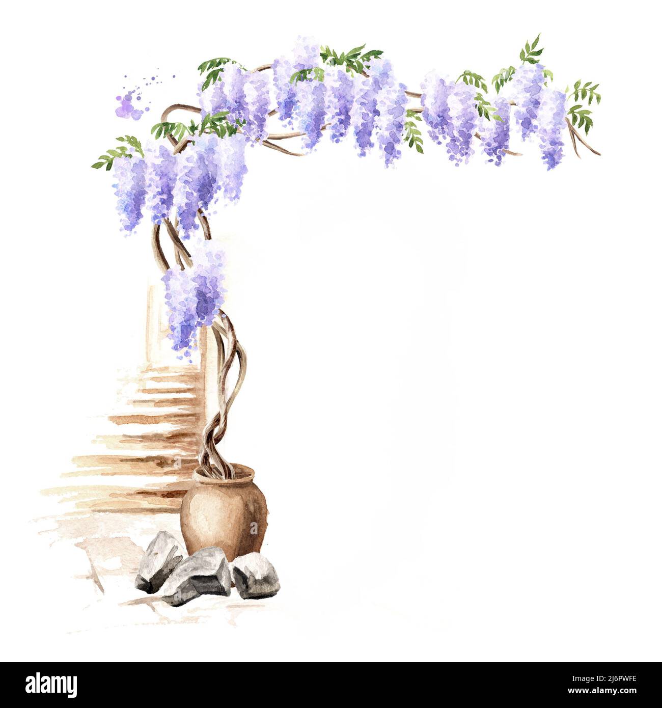 Old architecture and Wisteria  blossom tree. Hand  drawn watercolor  illustration isolated on white background Stock Photo