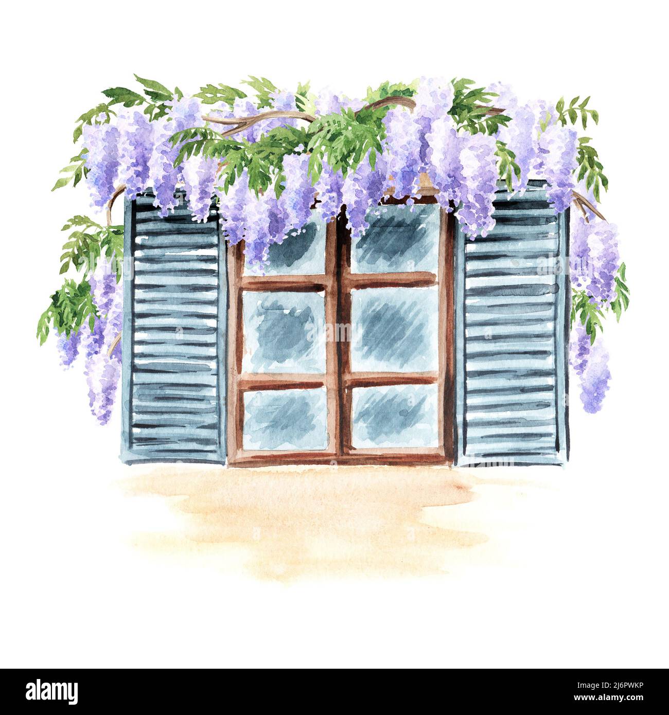Open window with a climbing Wisteria blossom plant. Hand  drawn watercolor  illustration isolated on white background Stock Photo