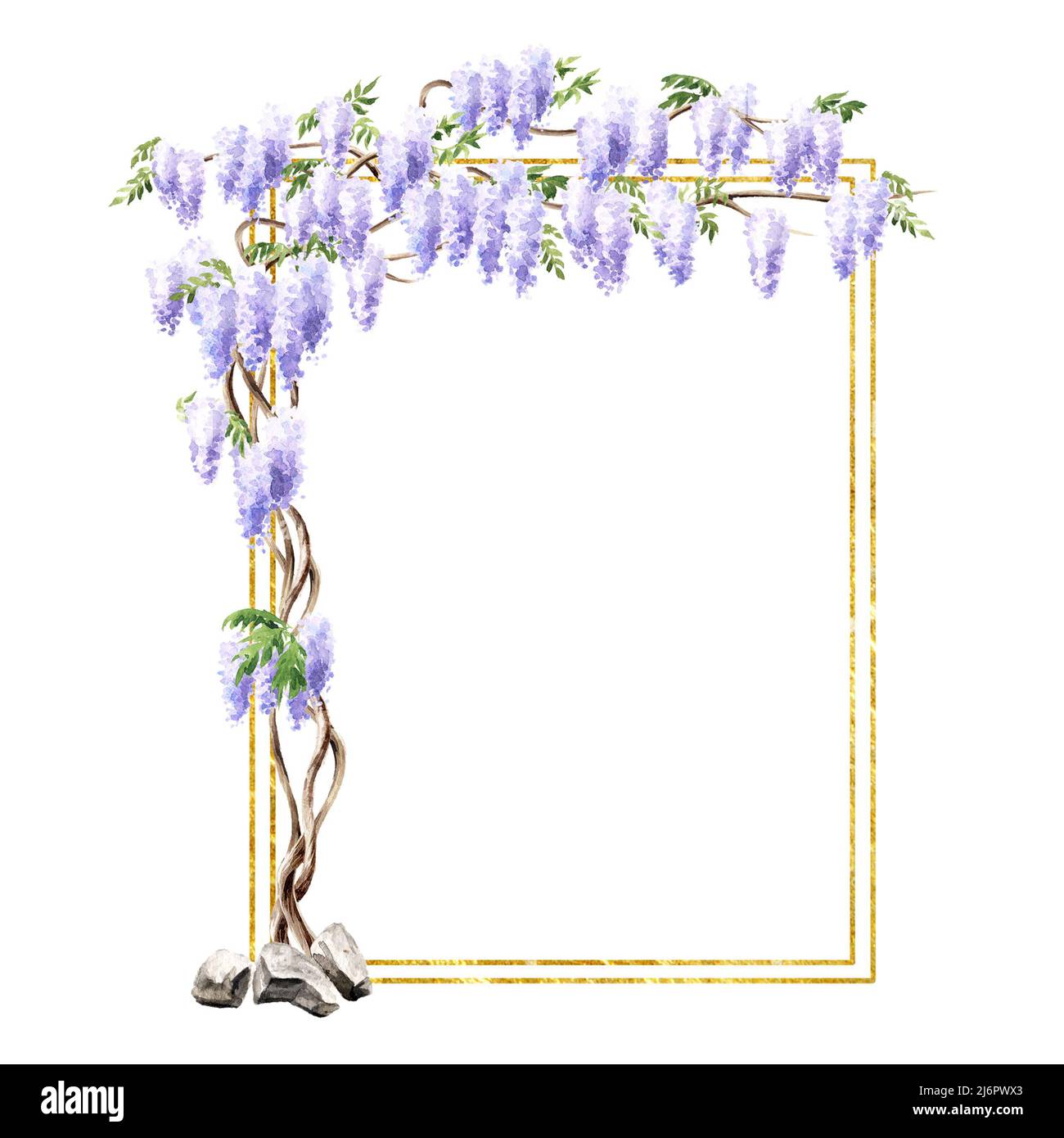 Wisteria blossom tree arch.  Hand  drawn watercolor  illustration isolated on white background Stock Photo