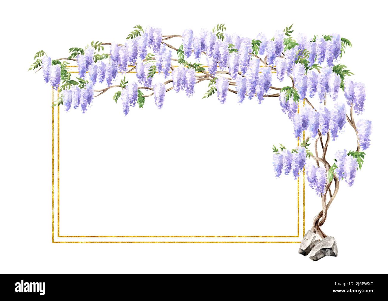 Wisteria blossom tree card background. Hand  drawn watercolor  illustration isolated on white background Stock Photo