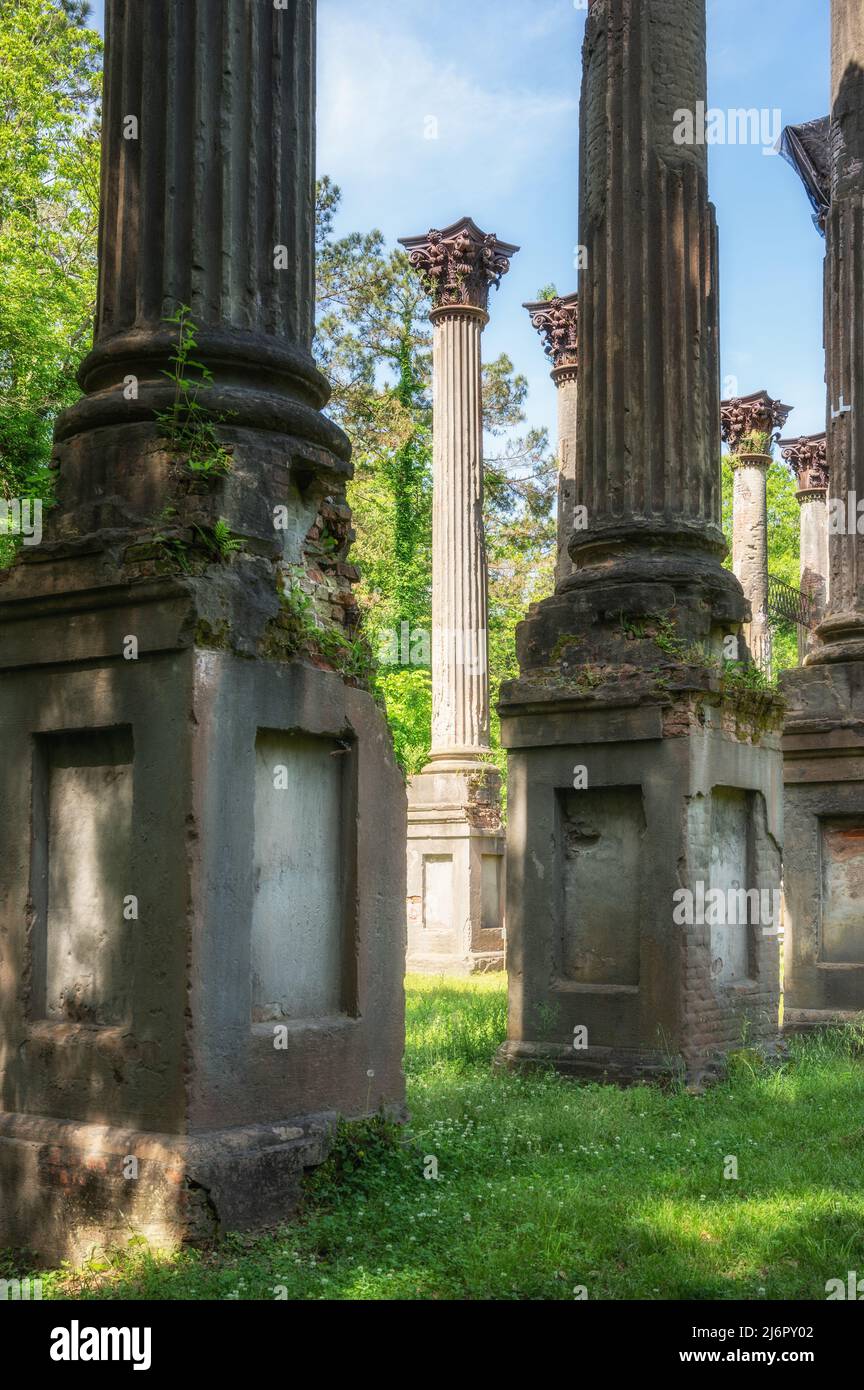 Windsor Ruins near Port Gibson, Mississippi, ruins of one of the largest antebellum homes ever built, located off the Natchez Trace Parkway, USA. Stock Photo