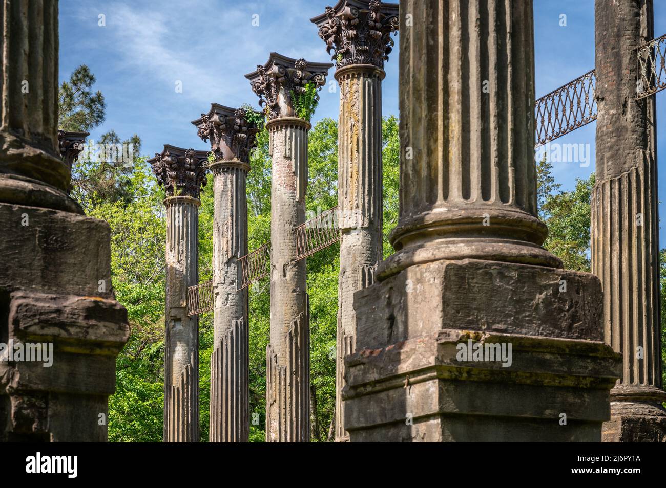 Greek revival antebellum home hires stock photography and images Alamy