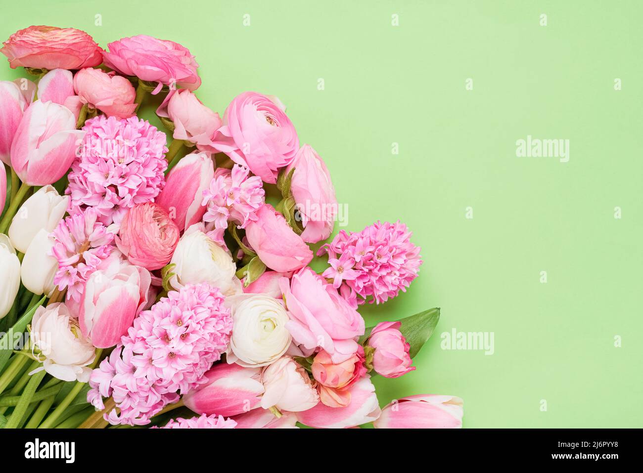 Bouquet of pink ranunculus, tulips and hyacinths on a green background. Mothers Day, Valentines Day, birthday concept. Top view, copy space Stock Photo