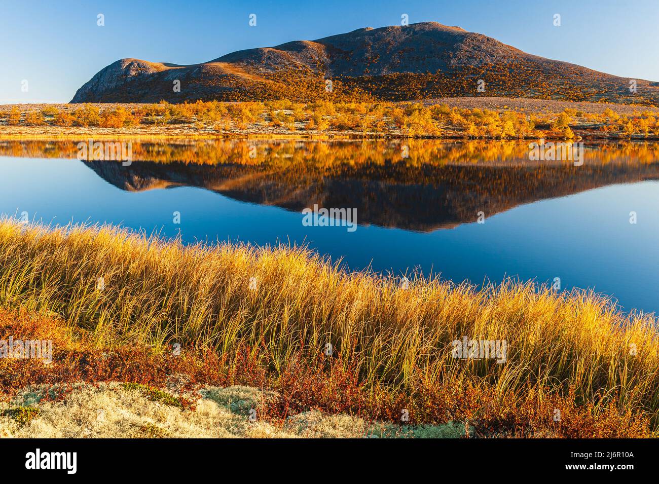 Mountain reflection on calm lake at autumn, Norway. Stock Photo