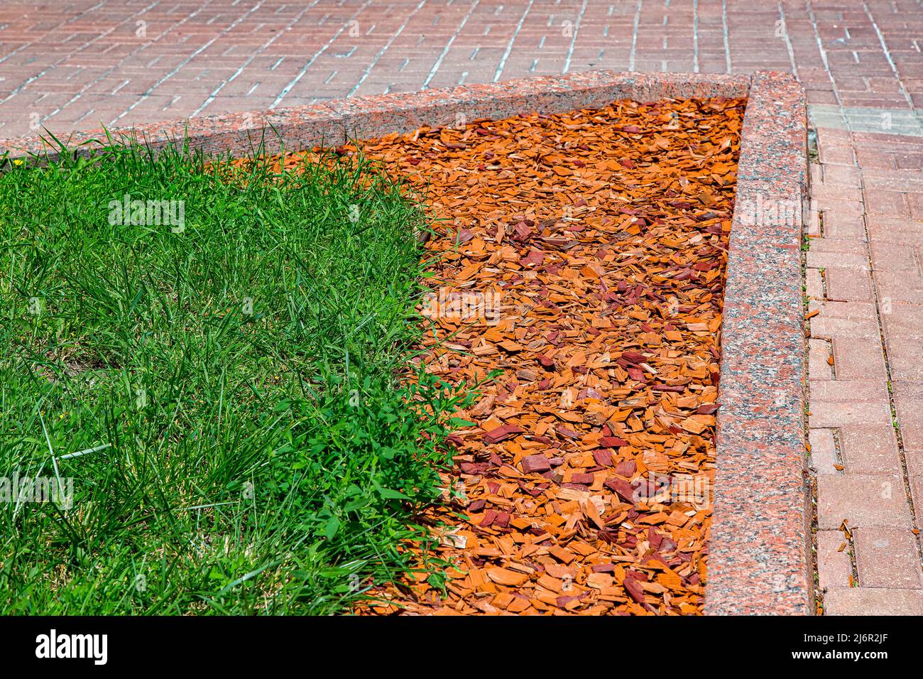 pine mulch on the garden bed. Parkland landscape design with wooden