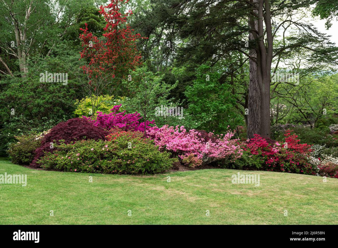 Garden with blooming trees during spring time Stock Photo Alamy