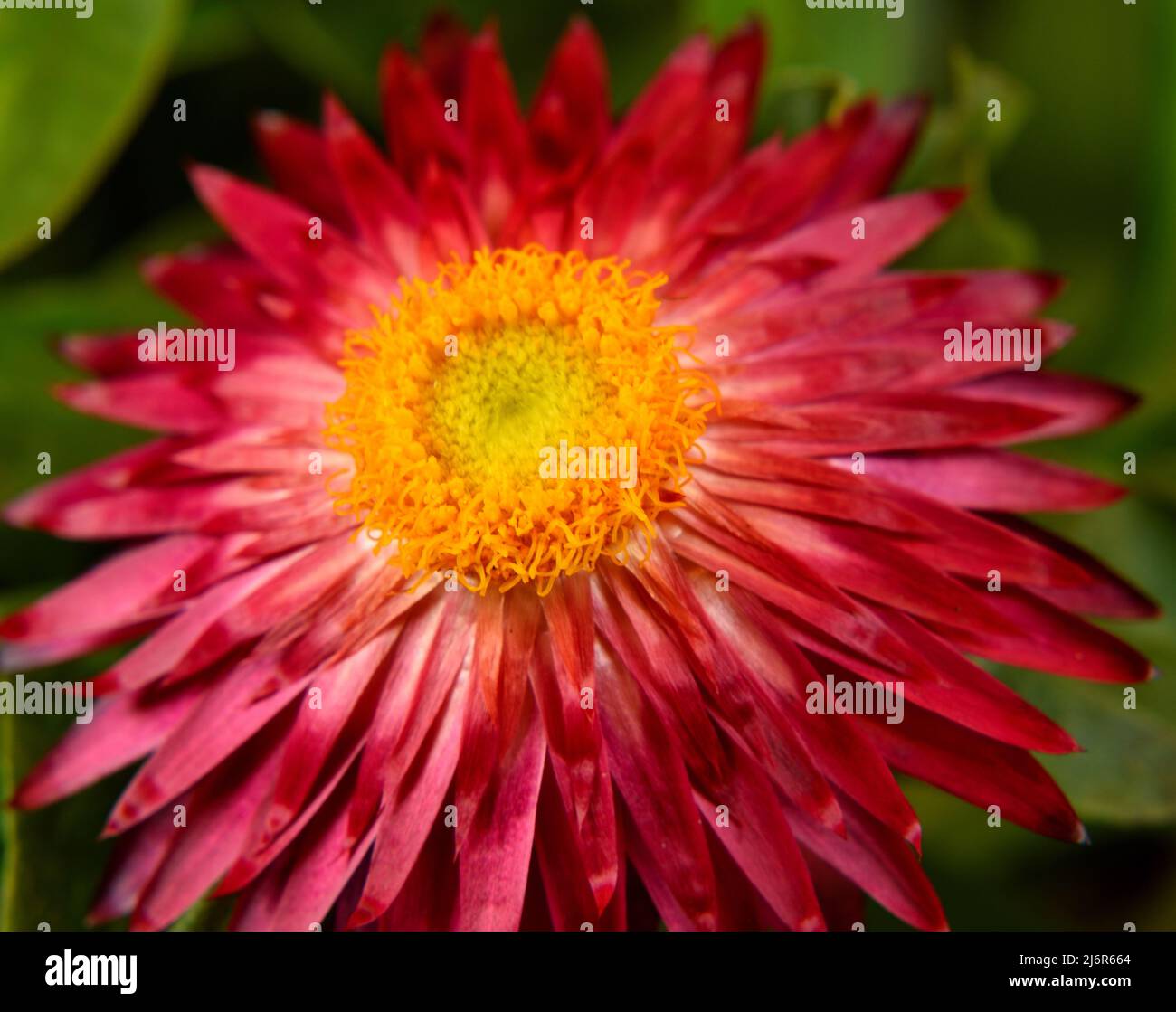 My Image 6