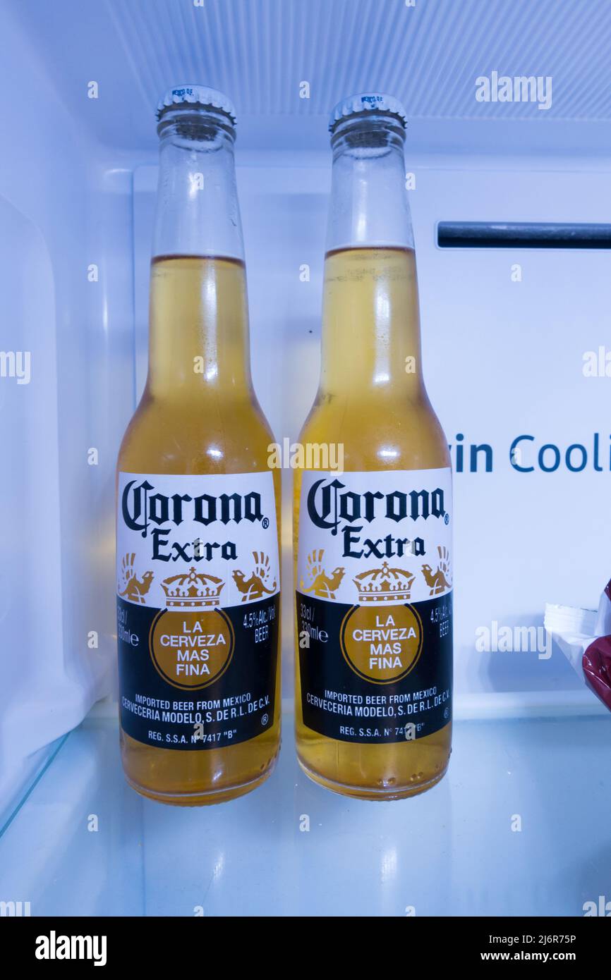 Two bottles of Corona beer Mexican imported beer in fridge Stock Photo