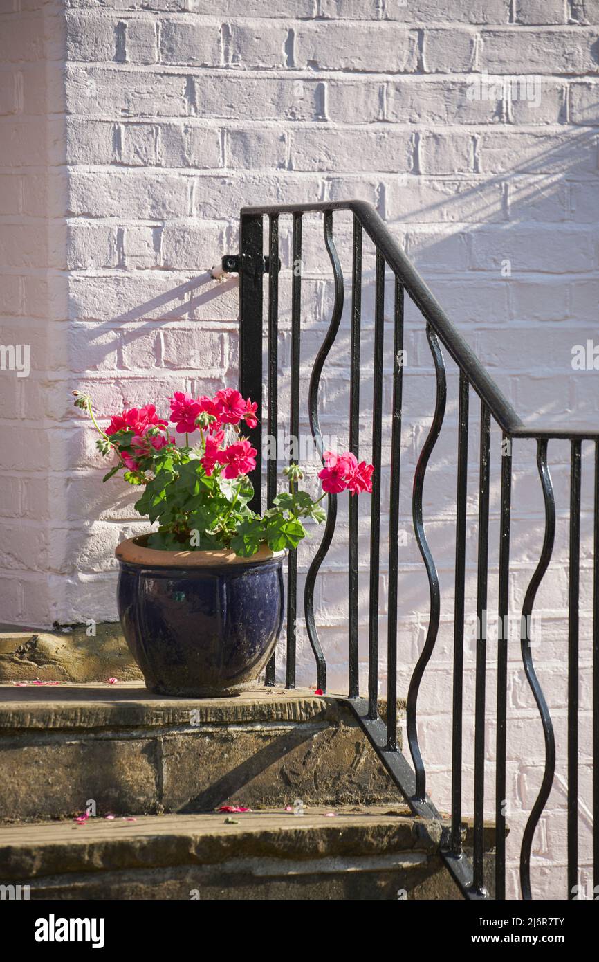 Hampstead street scene, railing and geraniums Stock Photo