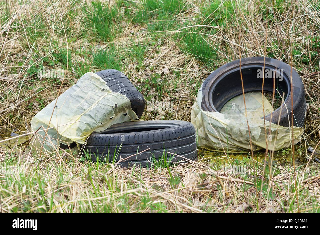 Car tires in the woods. Industrial pollution of the environment